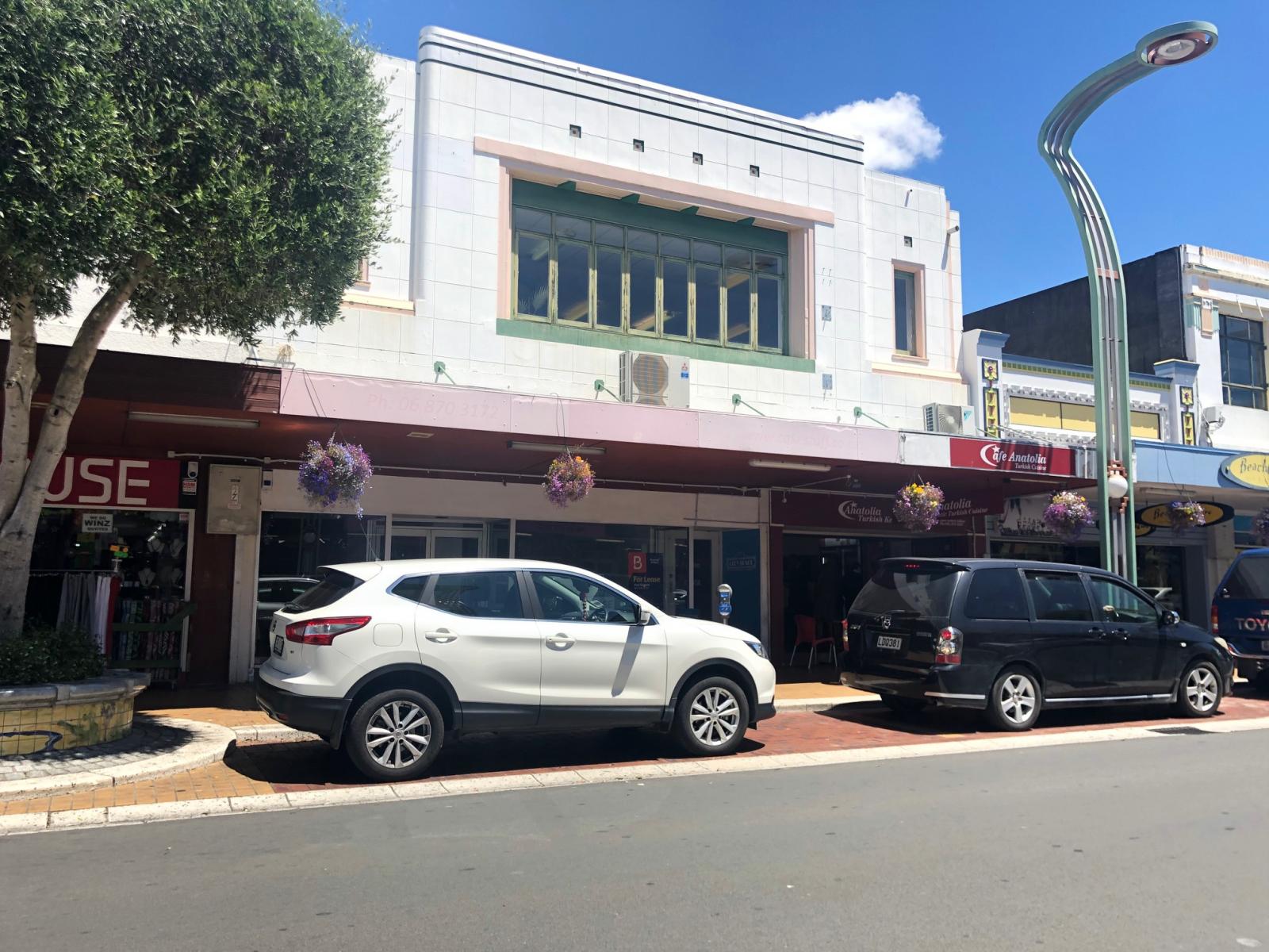 113 Heretaunga Street East, Hastings