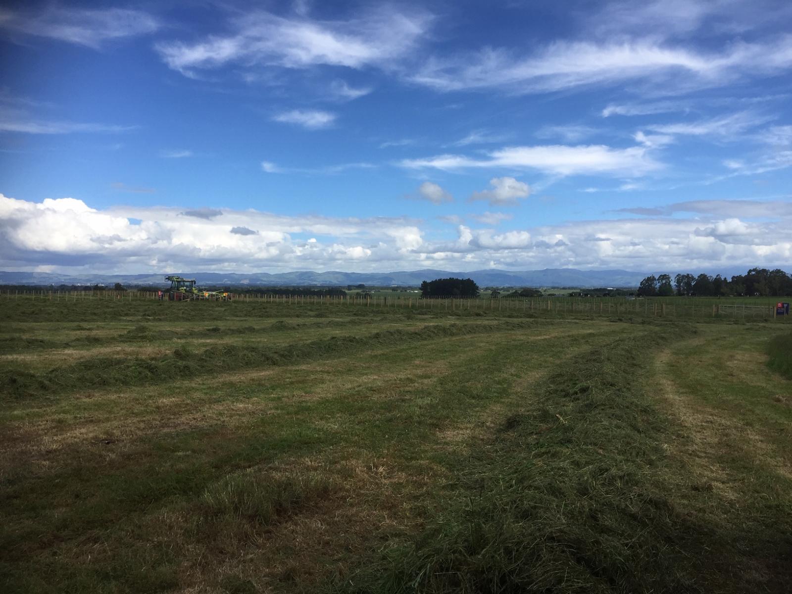 Lot 7 Fairfield Road, Rongotea