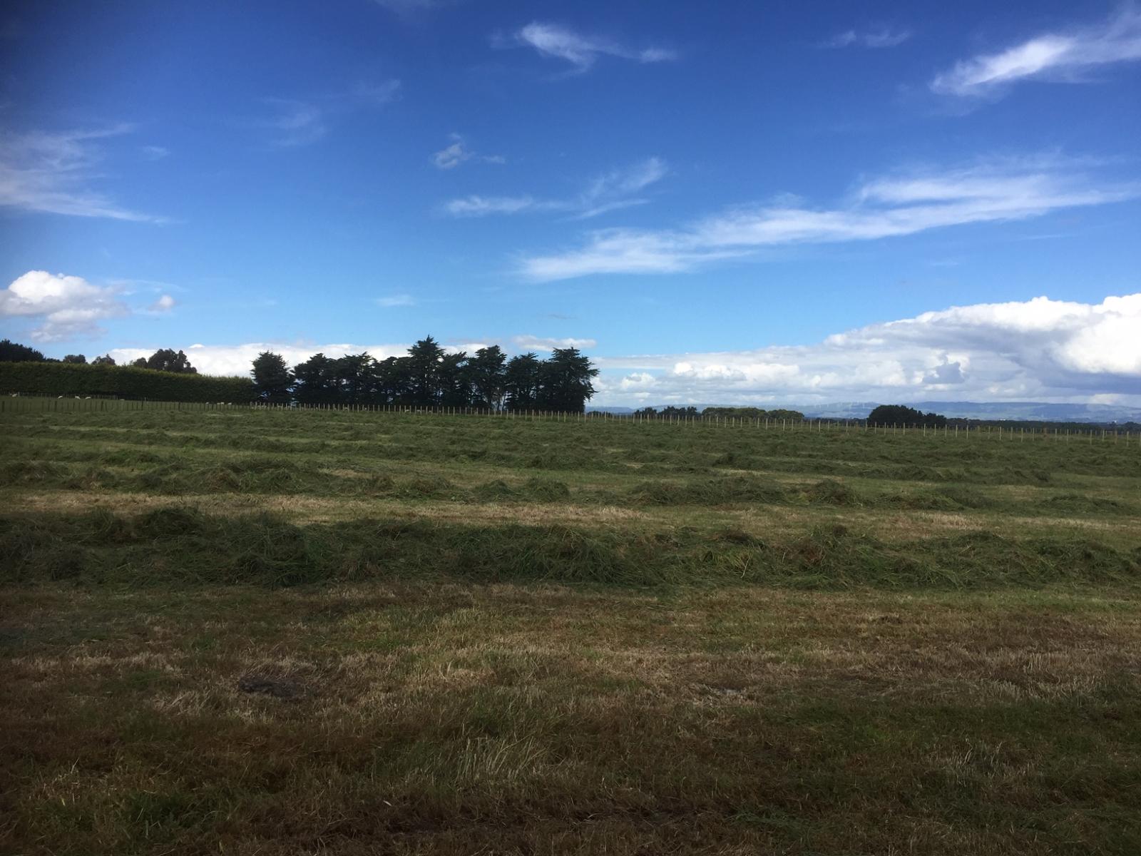 Lot 7 Fairfield Road, Rongotea