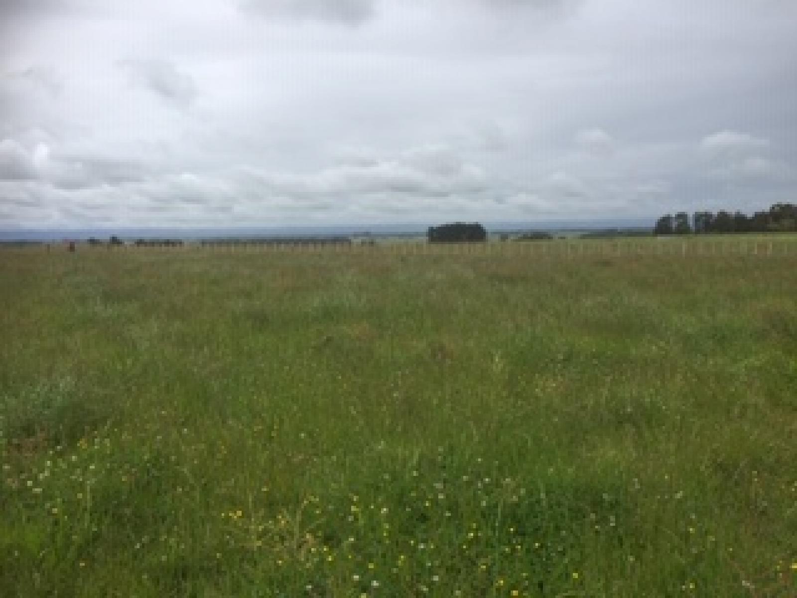 Lot 7 Fairfield Road, Rongotea