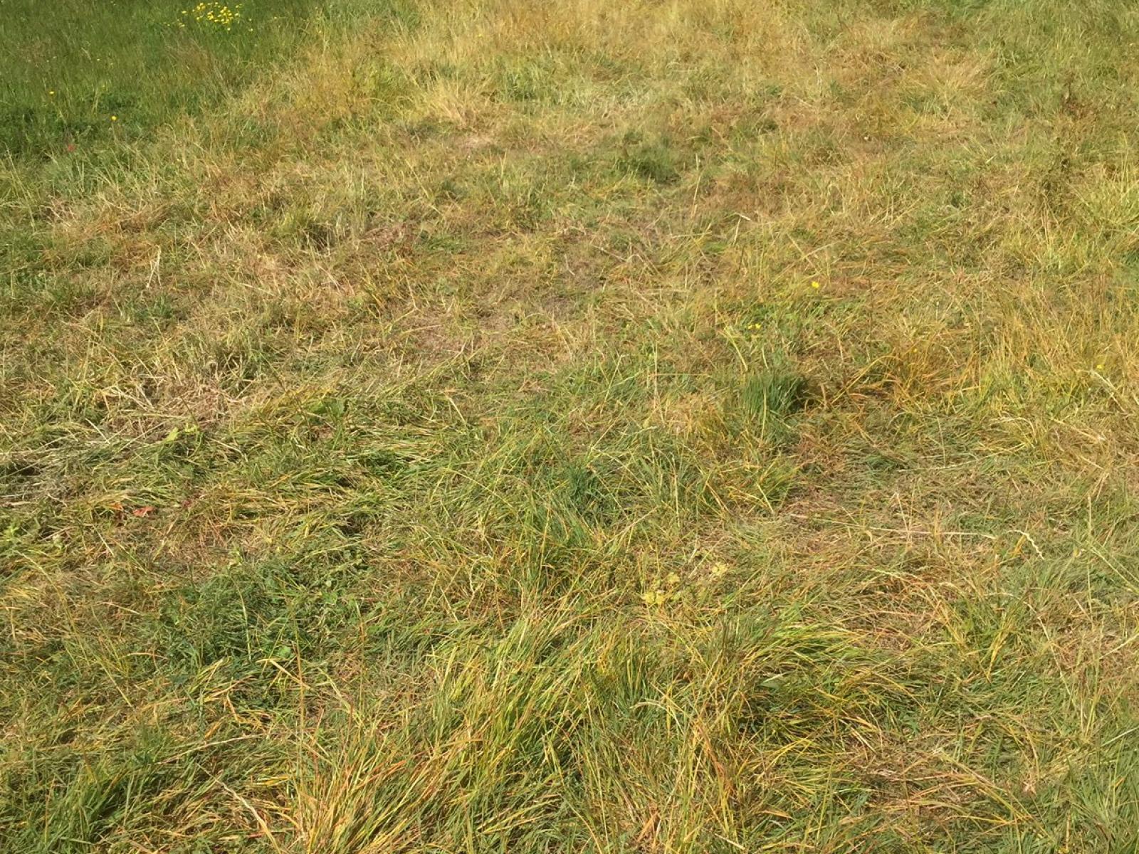 Lot 7 Fairfield Road, Rongotea