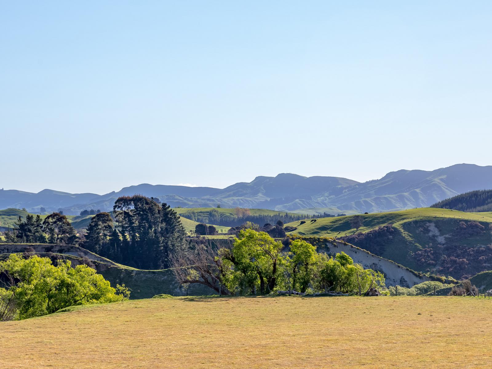 490 Ngaumu Road, Masterton