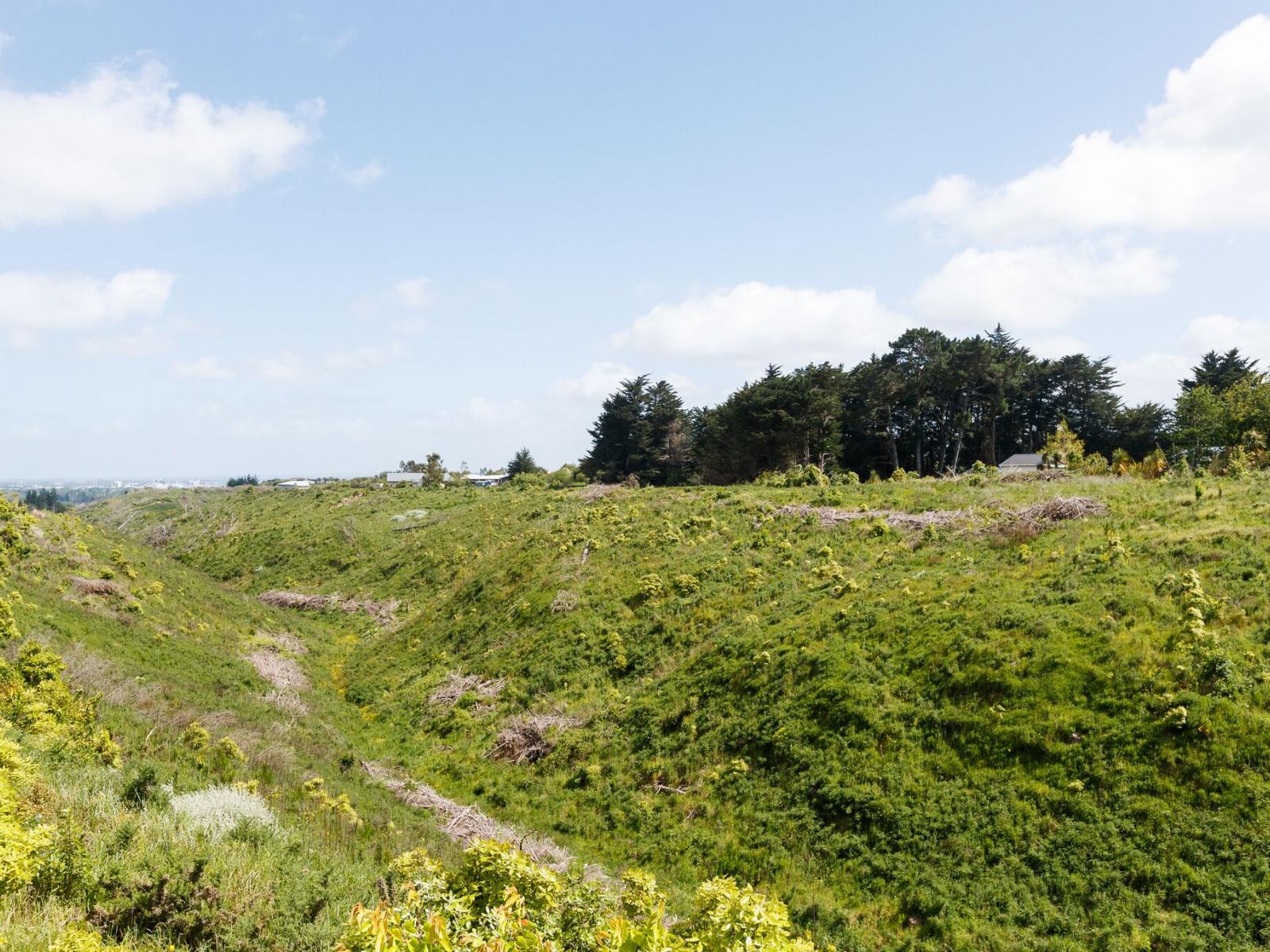 246 Polson Hill Drive, Aokautere