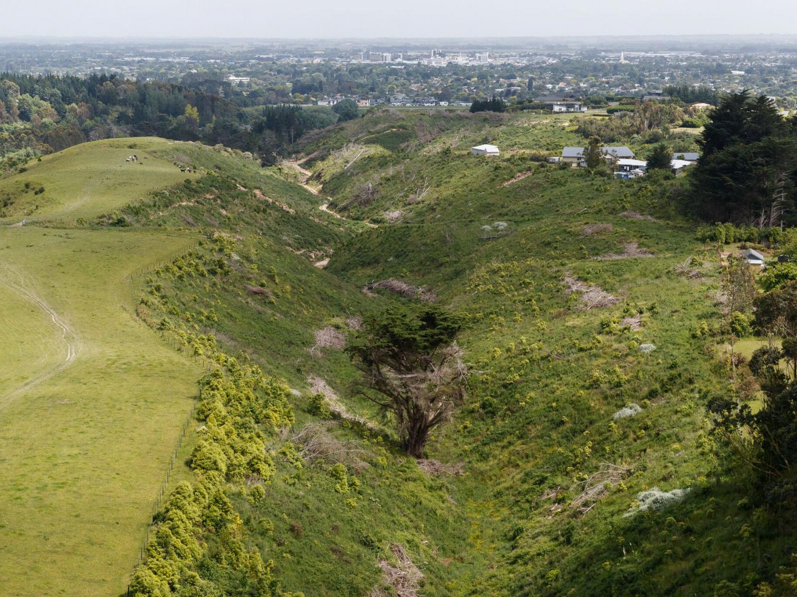 246 Polson Hill Drive, Aokautere