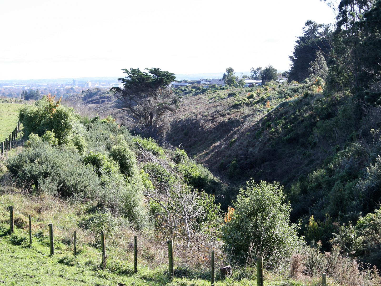 246 Polson Hill Drive, Aokautere