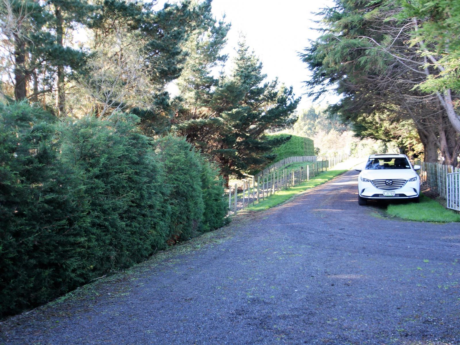 246 Polson Hill Drive, Aokautere