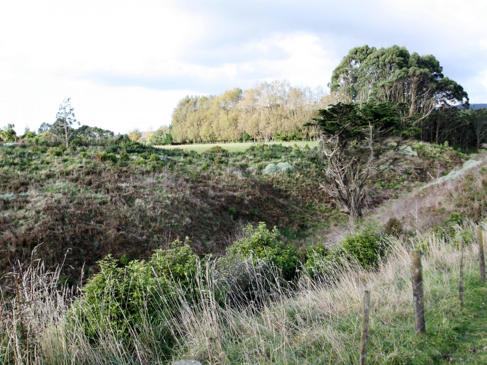 246 Polson Hill Drive, Aokautere