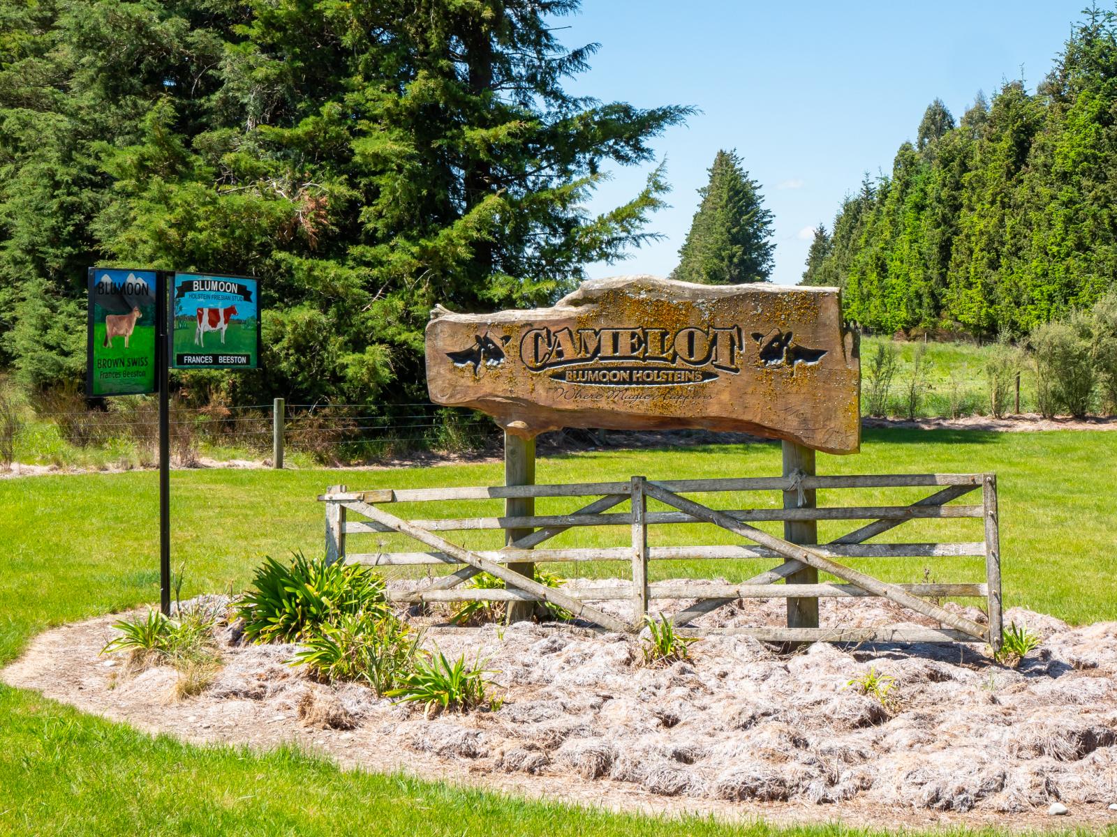 102 Anama Station Road, Mayfield