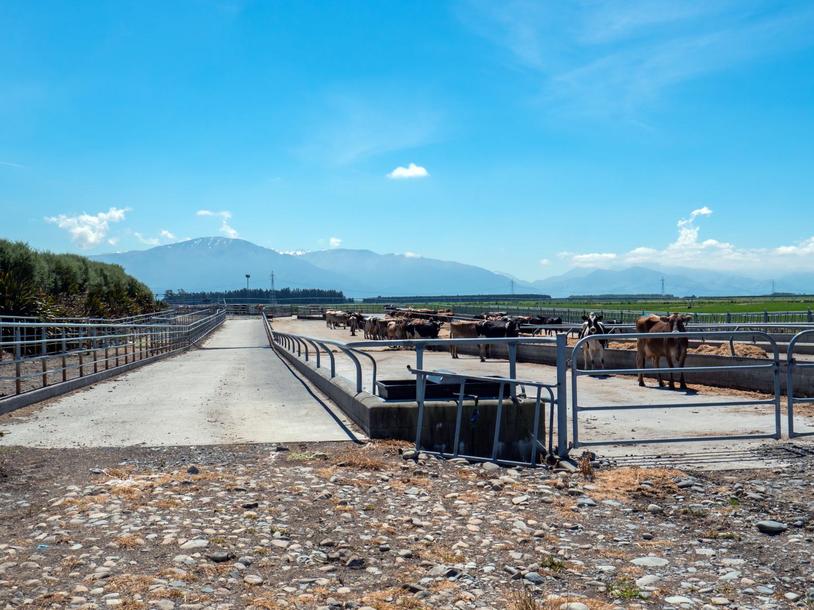 102 Anama Station Road, Mayfield