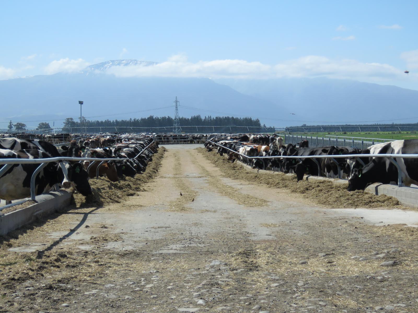 102 Anama Station Road, Mayfield