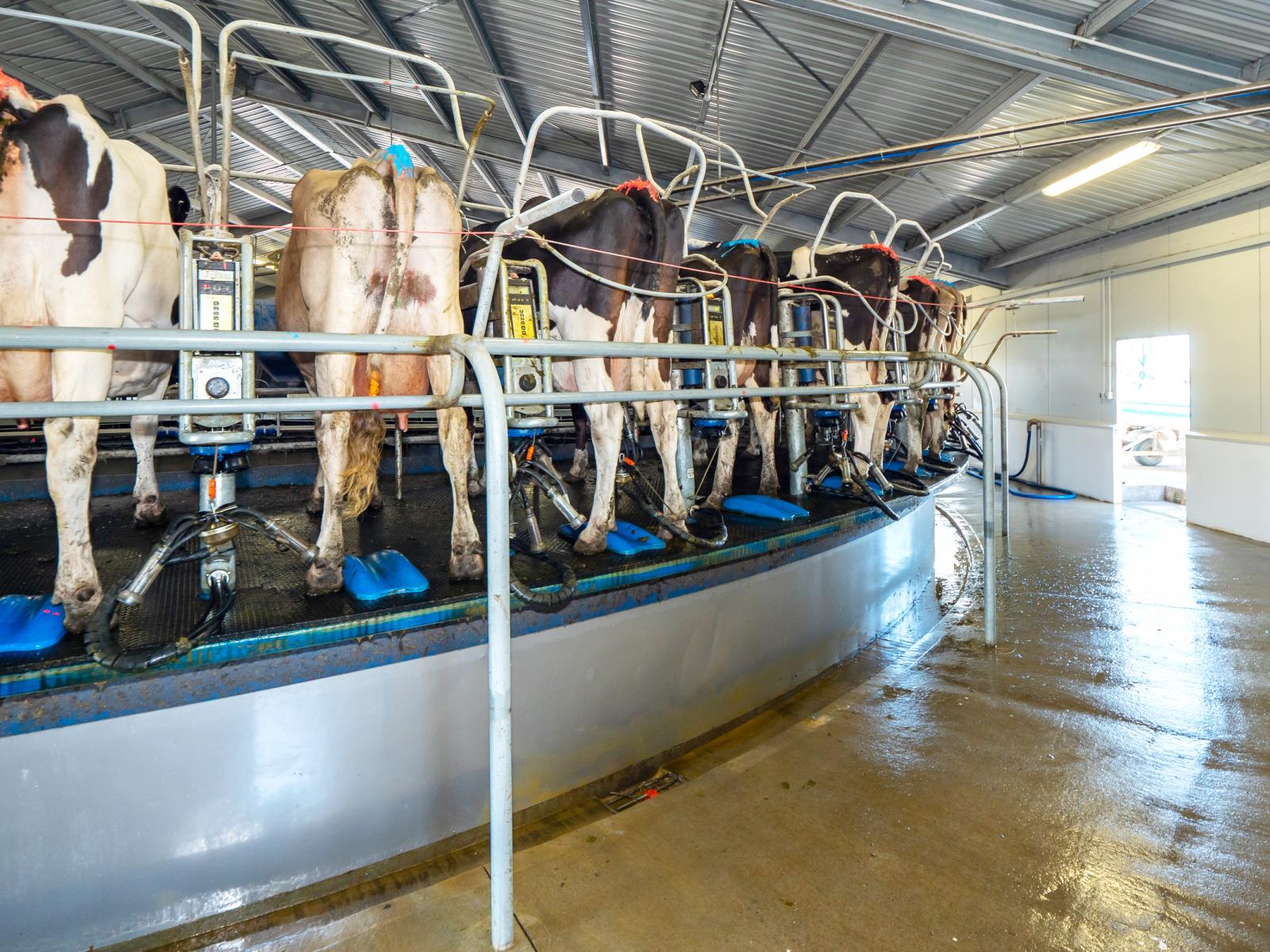 102 Anama Station Road, Mayfield