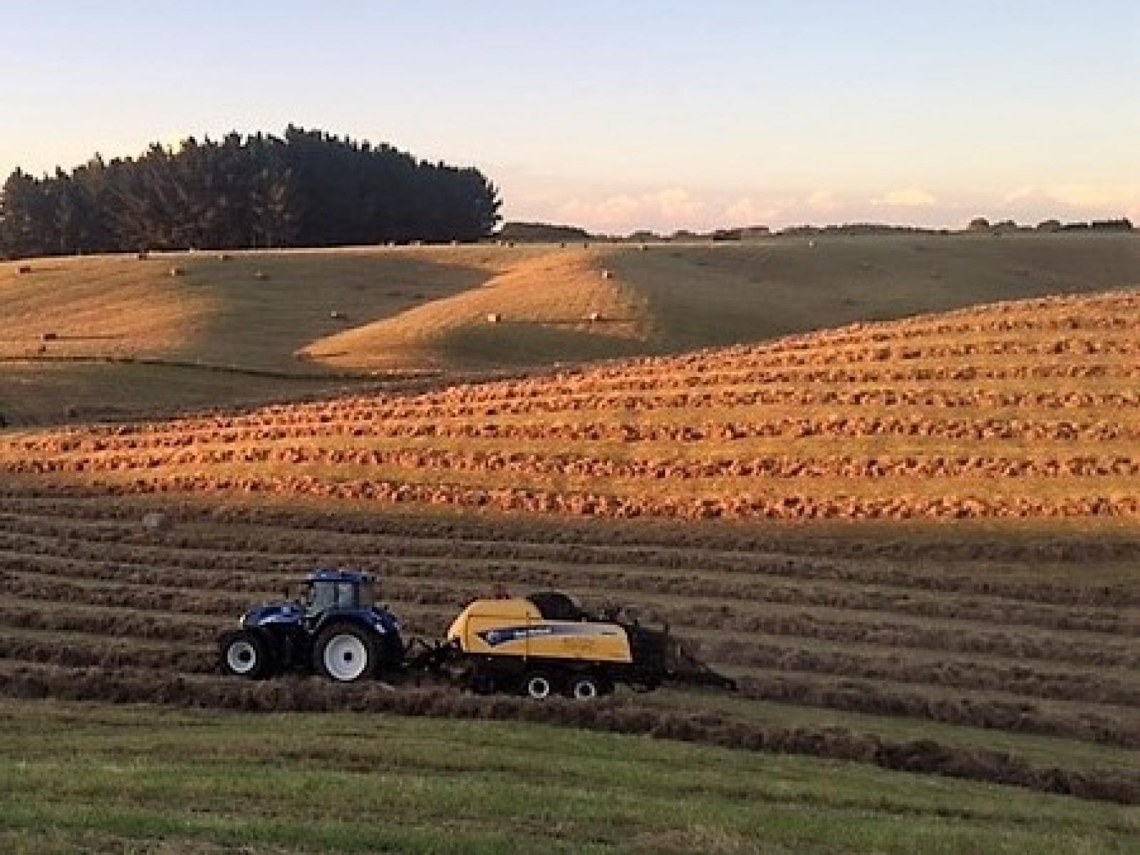 265 Waimutu Road, Marton