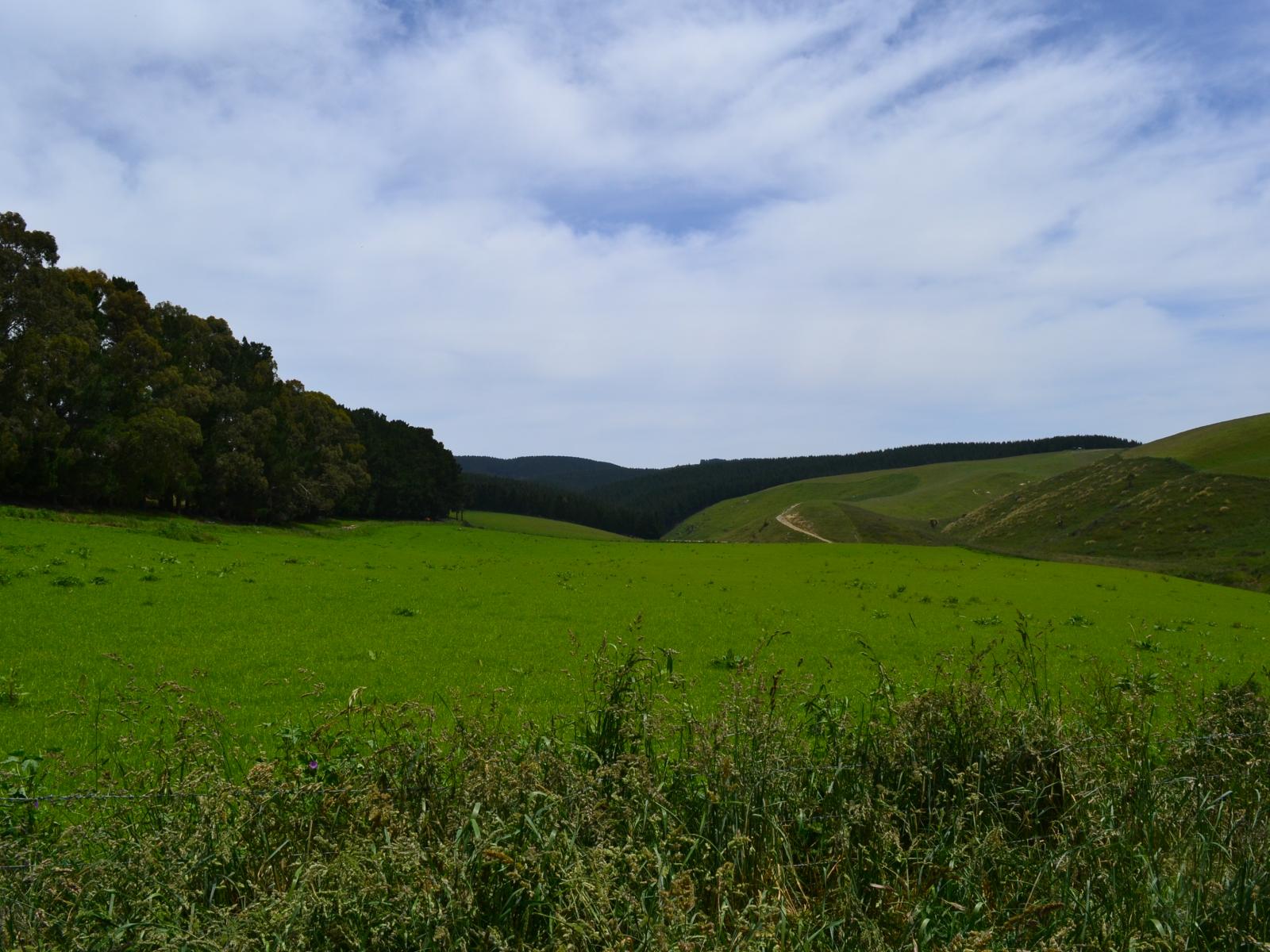 56 Rutherford Road, Fuchsia Creek