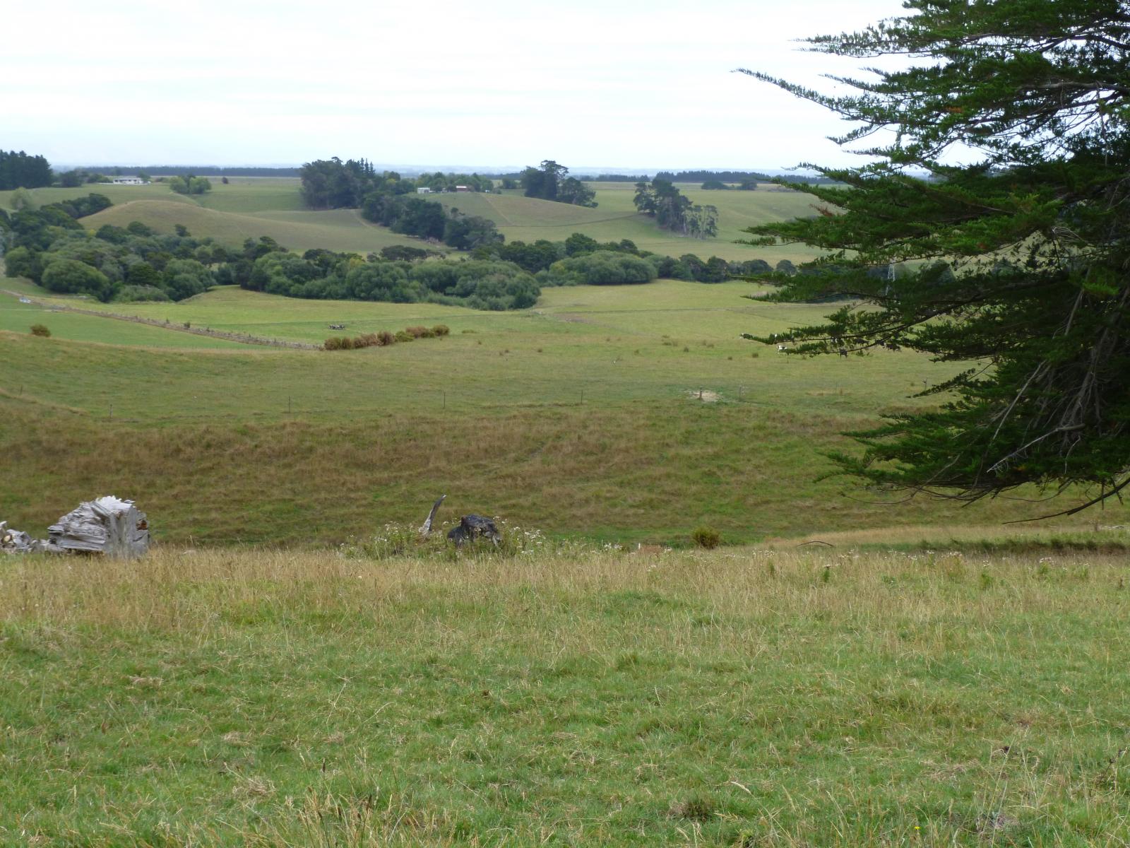 145 Ranfurly Road, Feilding