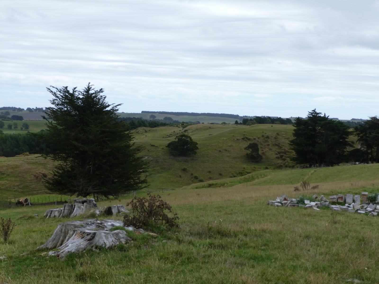 145 Ranfurly Road, Feilding