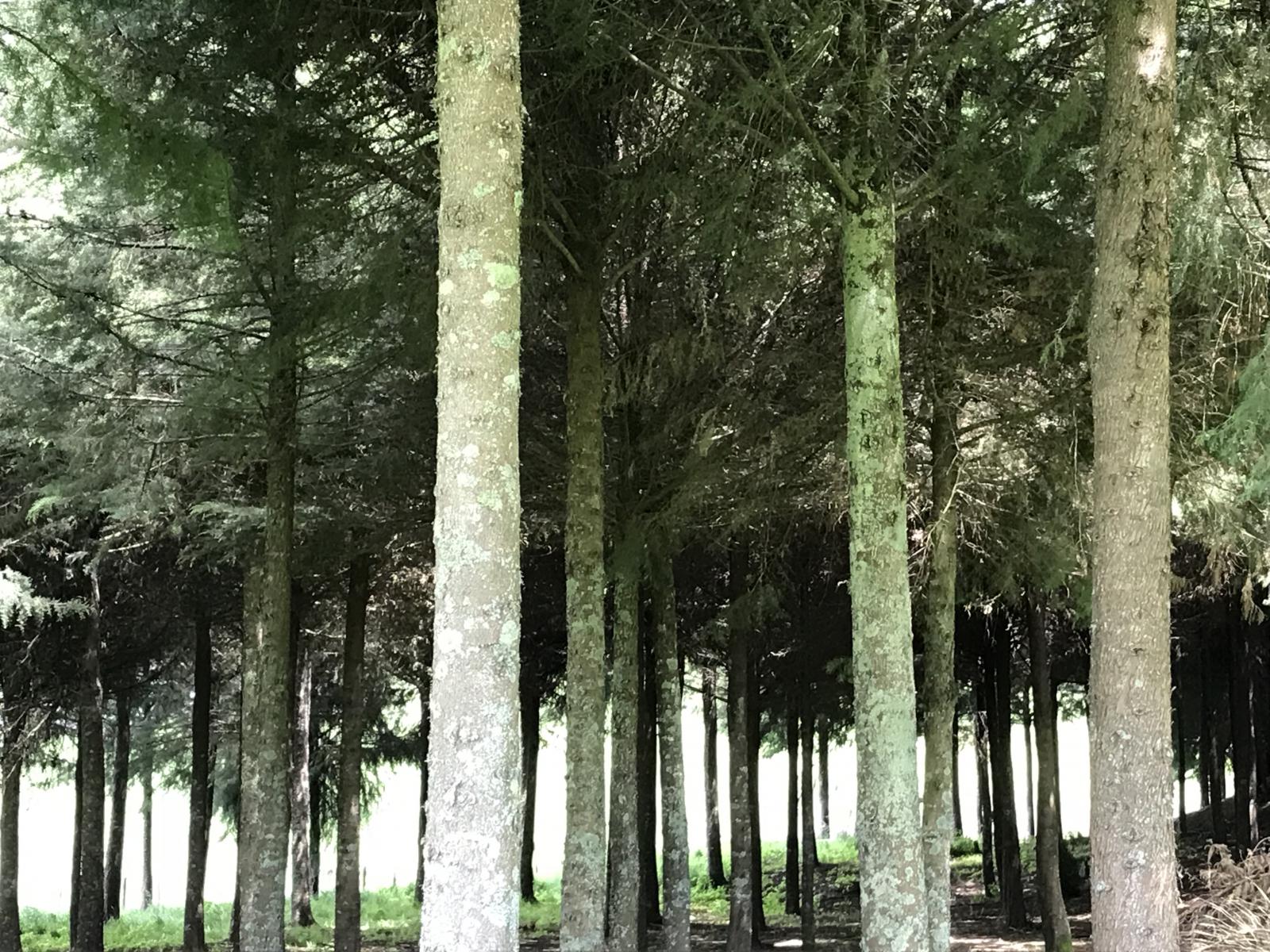 67 Tangye Road, Oruanui