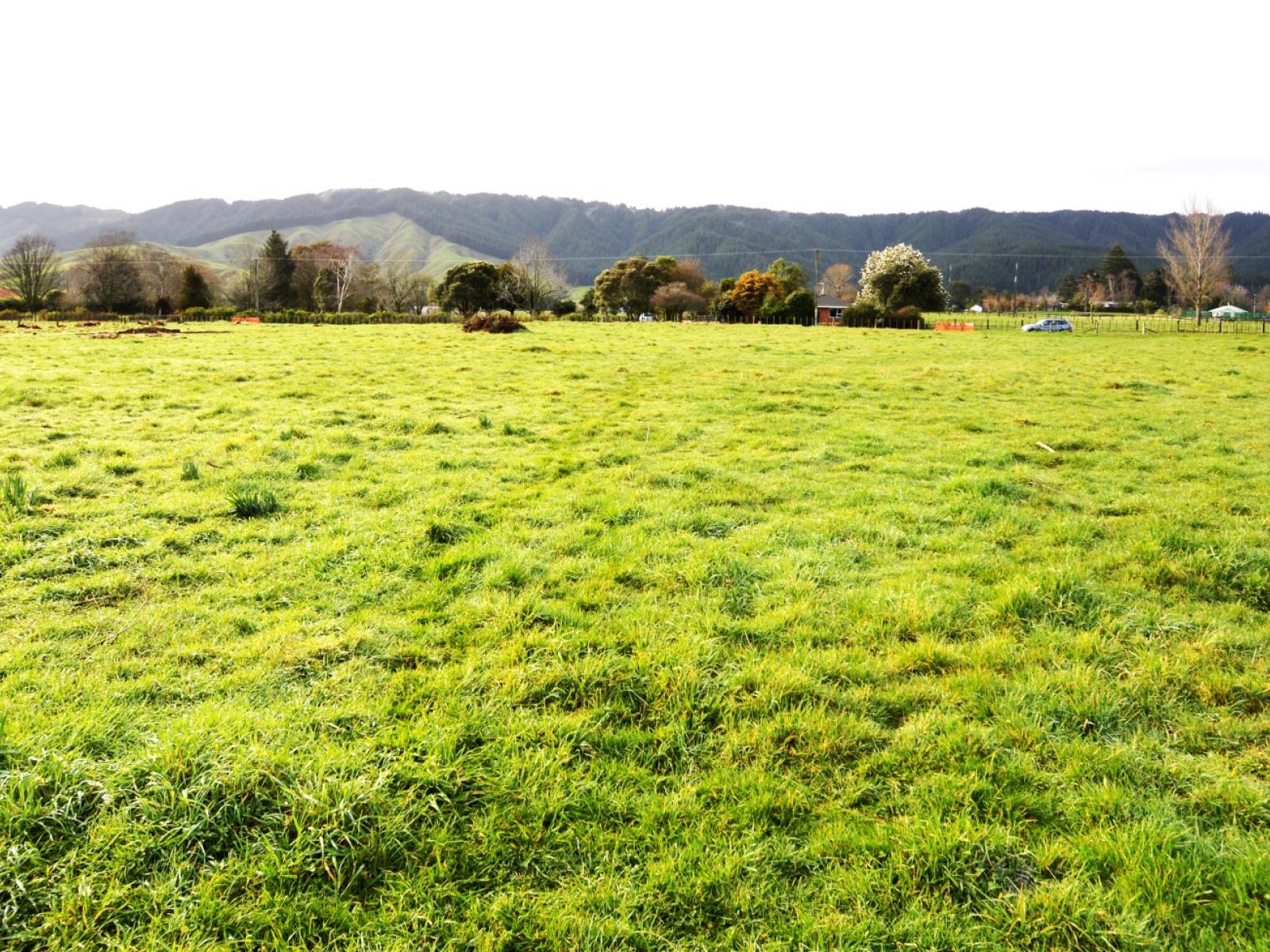 LOT 2, 49 Wakefield Road , Levin