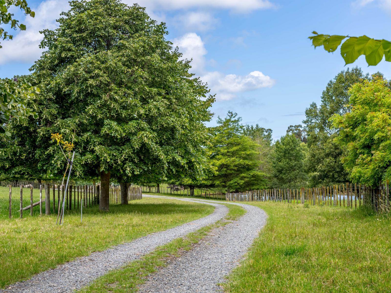 311 Gordon Street, Masterton