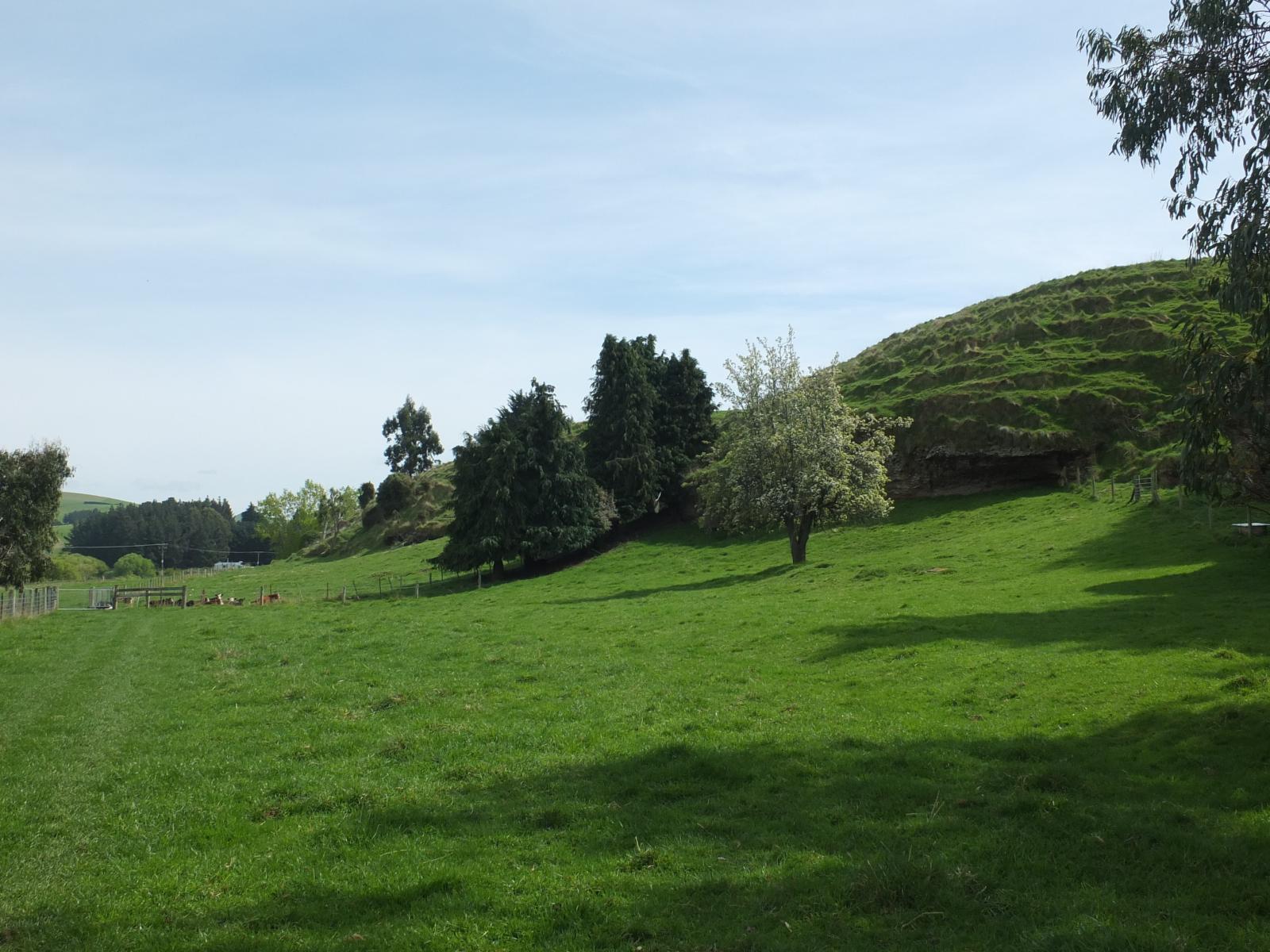 1720 Kakanui Valley Road, Five Forks