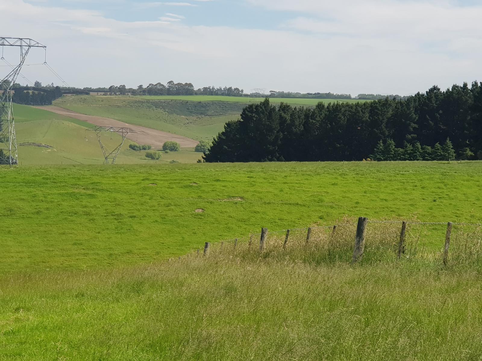 539 Rolling Ridges Road, Levels