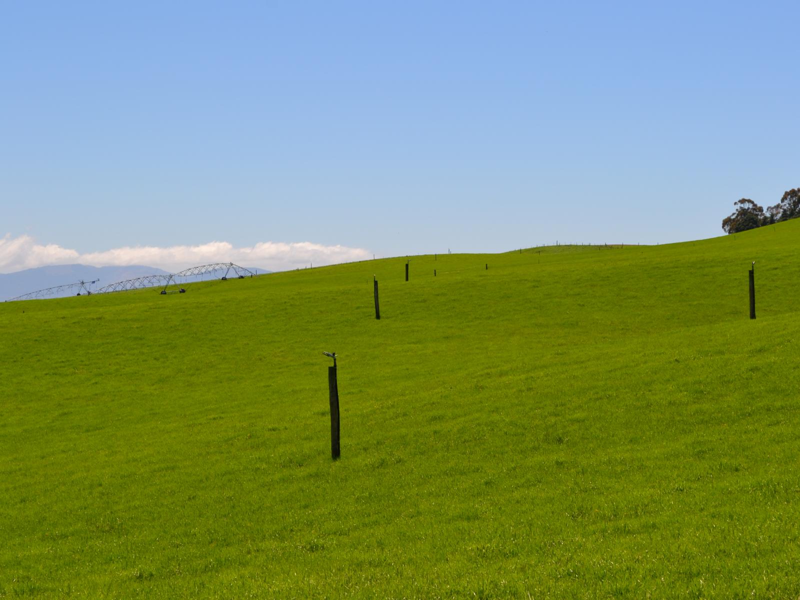 89 Brookstead Road, Oamaru