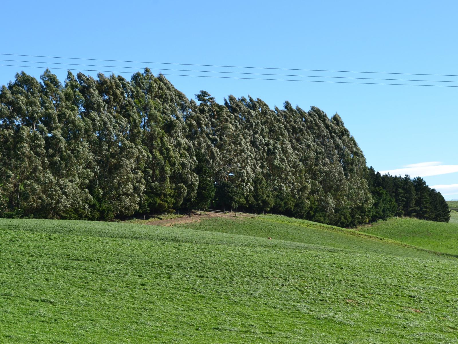89 Brookstead Road, Oamaru