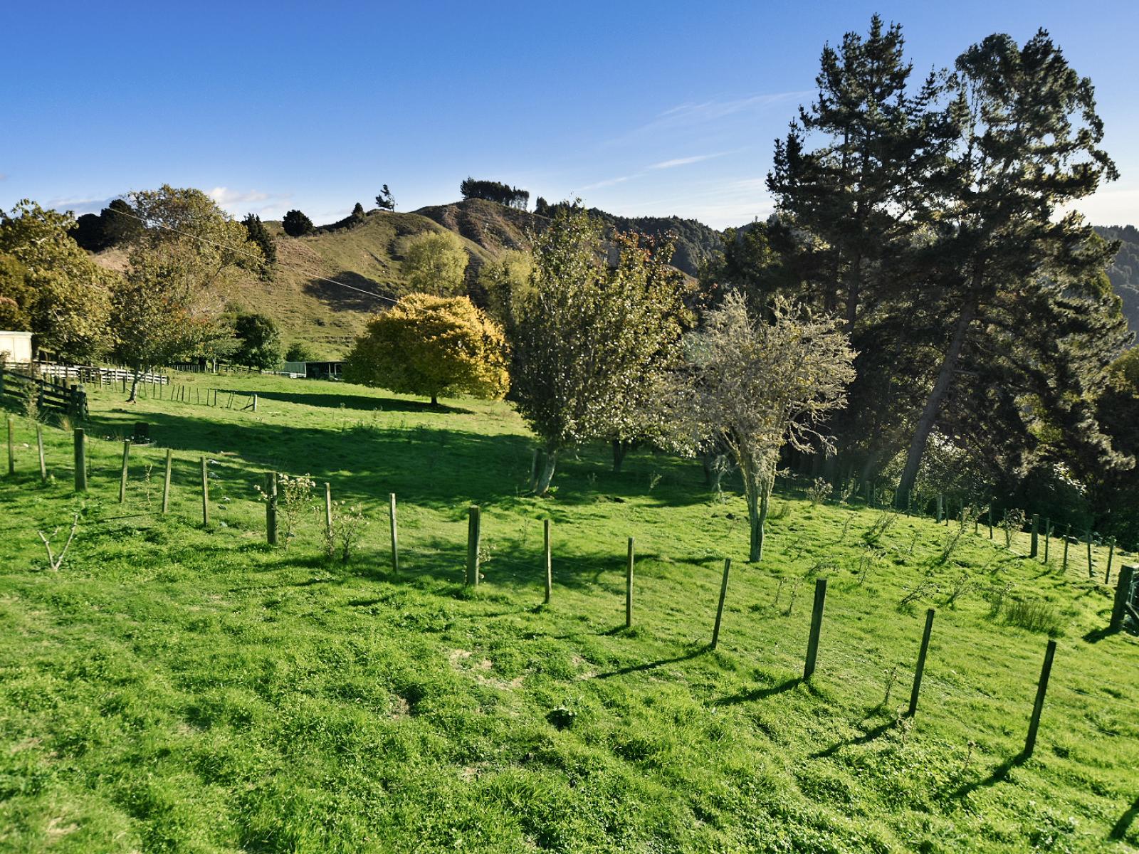 453 Kururau Road, Taumarunui 453 Kururau Road, Taumarunui