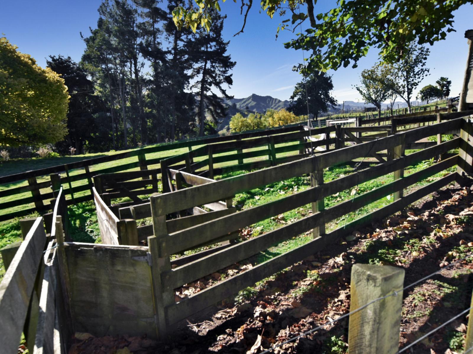 453 Kururau Road, Taumarunui 453 Kururau Road, Taumarunui