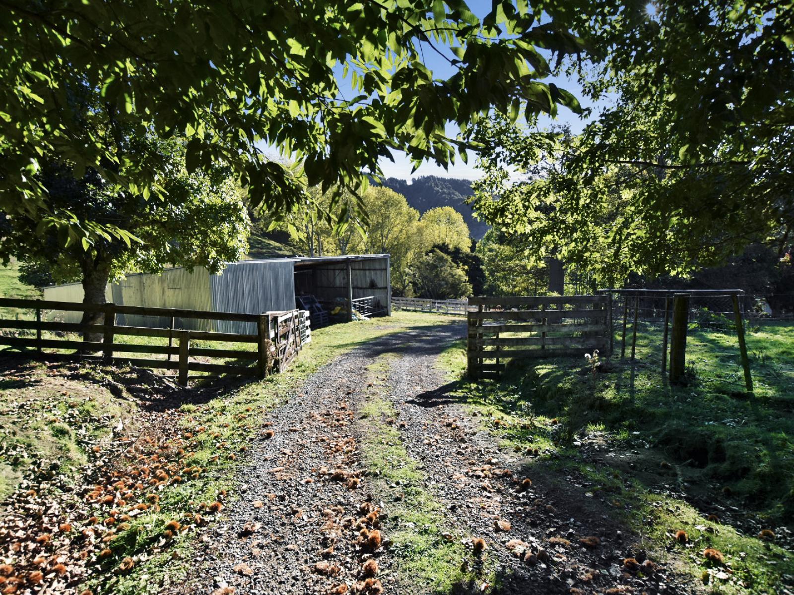 453 Kururau Road, Taumarunui 453 Kururau Road, Taumarunui