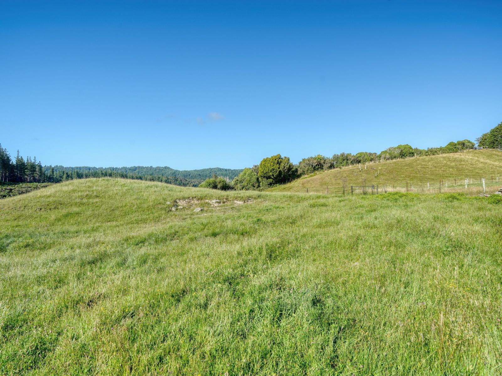 445 Lake Kaniere Road, Kaniere