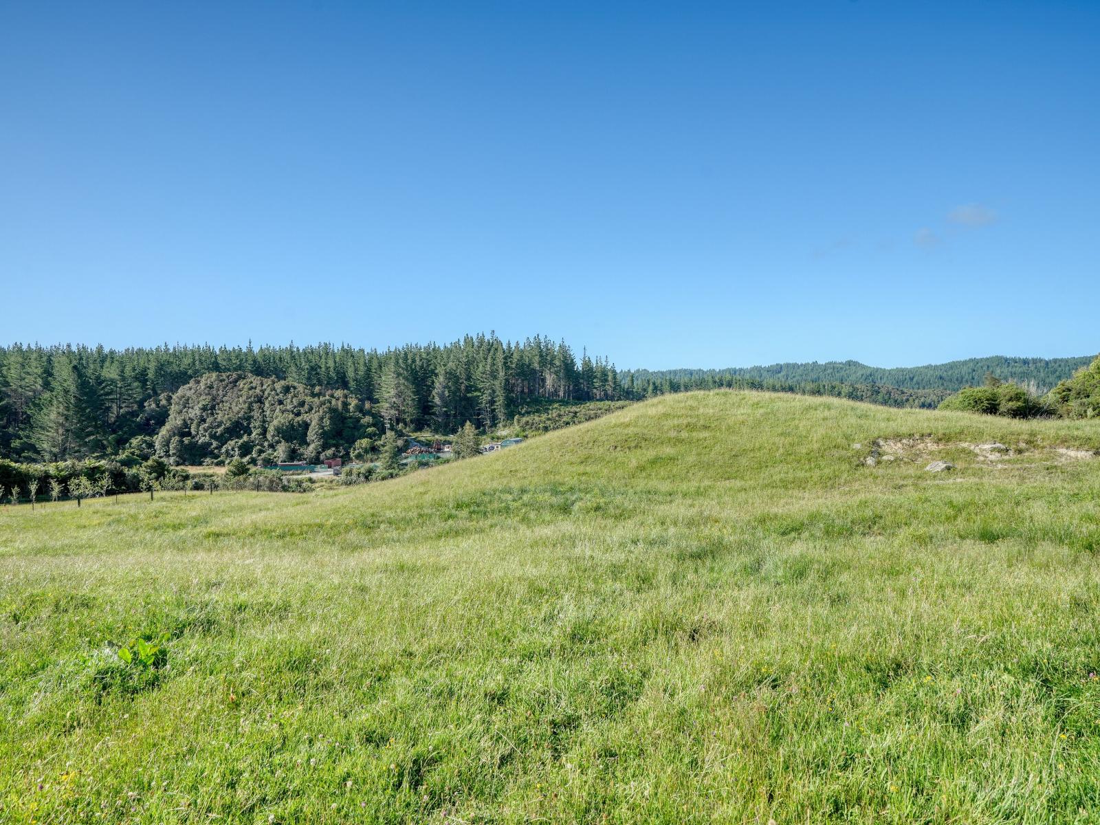 445 Lake Kaniere Road, Kaniere