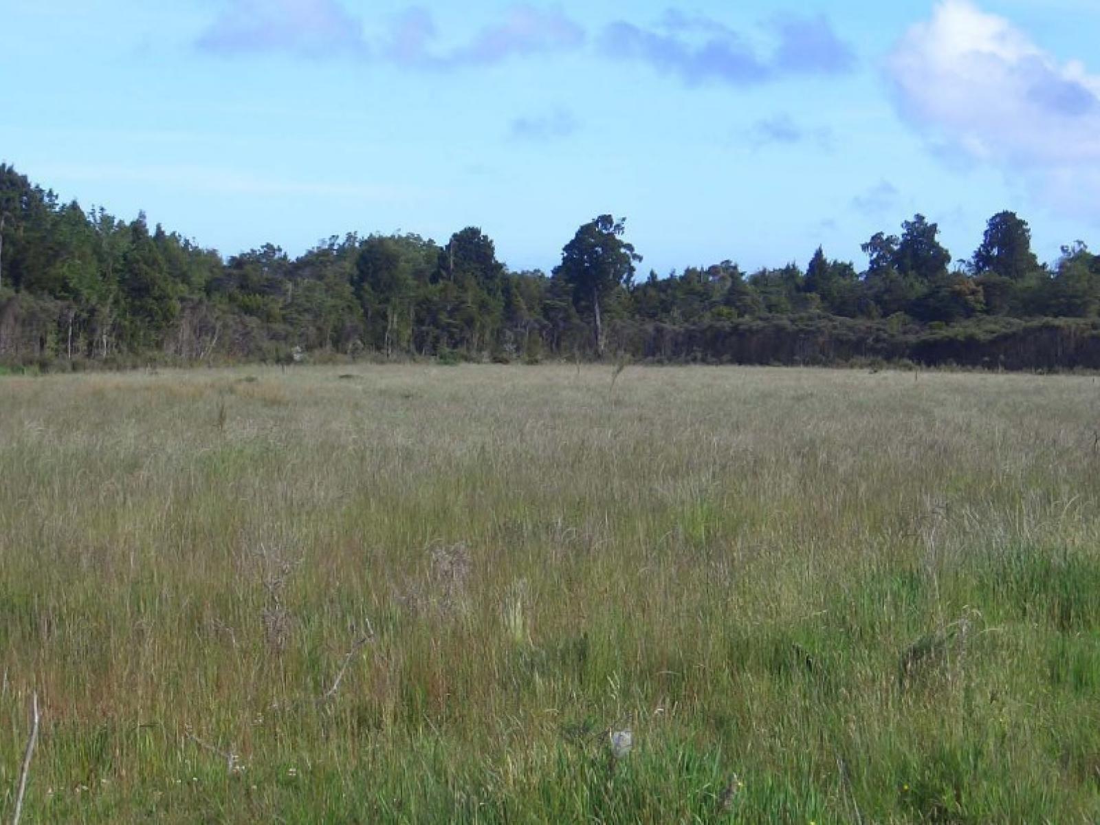 3, State Highway 6, Charleston