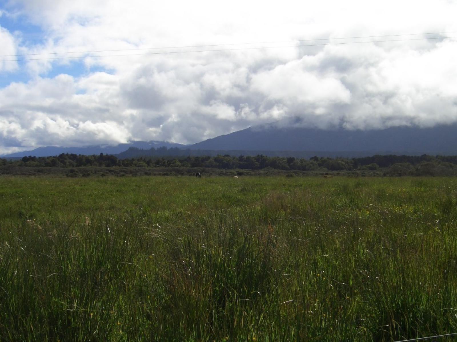 9, State Highway 6, Charleston