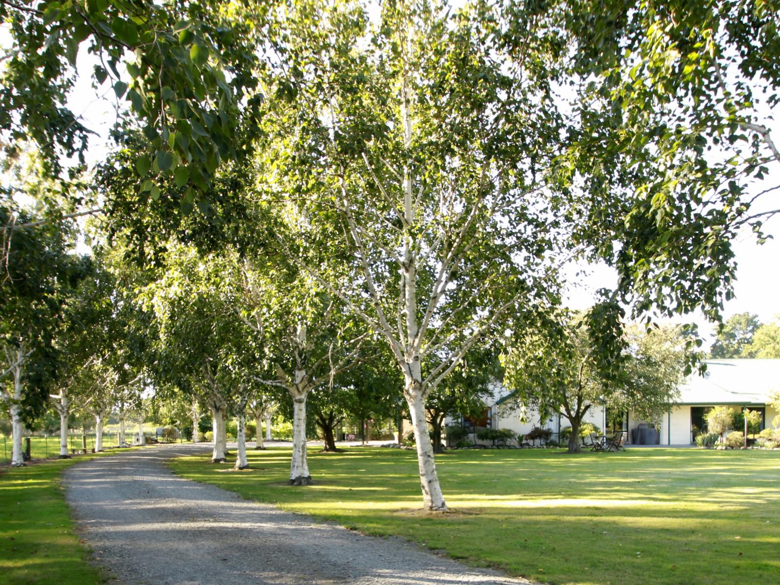 61 Albert Street, Netherby