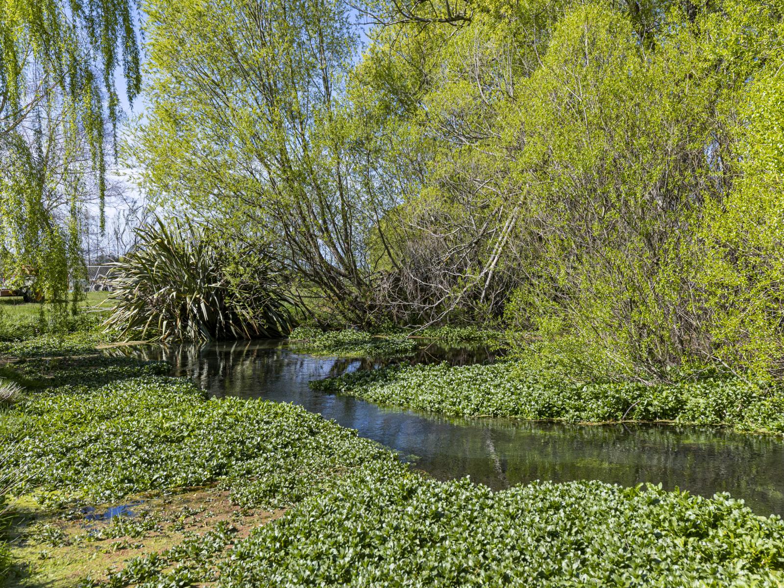 1064 Ashburton Staveley Road, Greenstreet