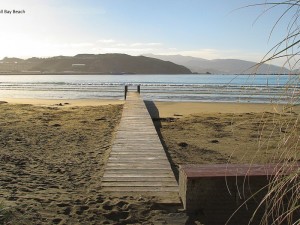 Property for sale 118 Lyall Parade