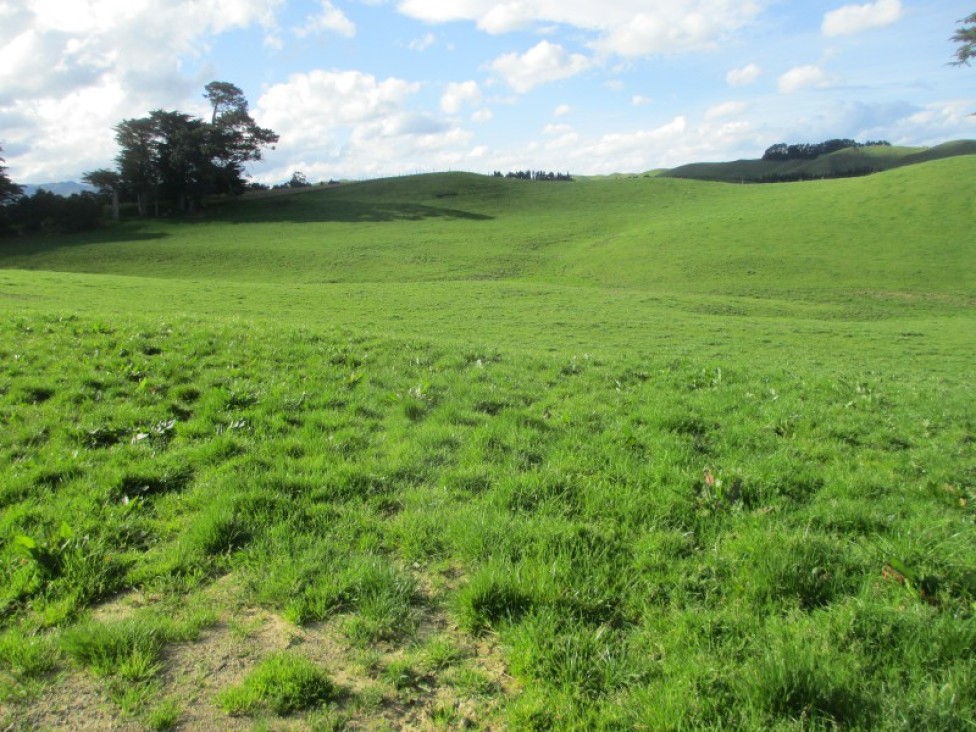 549-tataramoa-road-dannevirke