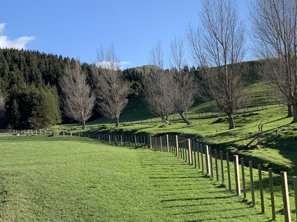 467-waitahora-valley-rd-dannevirke