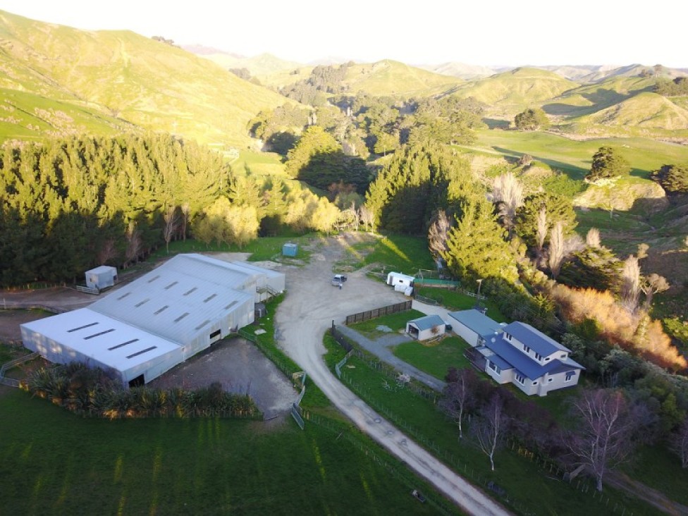 384-rimu-rd-pongoroa