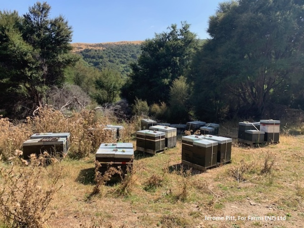 1997-river-rd-akitio