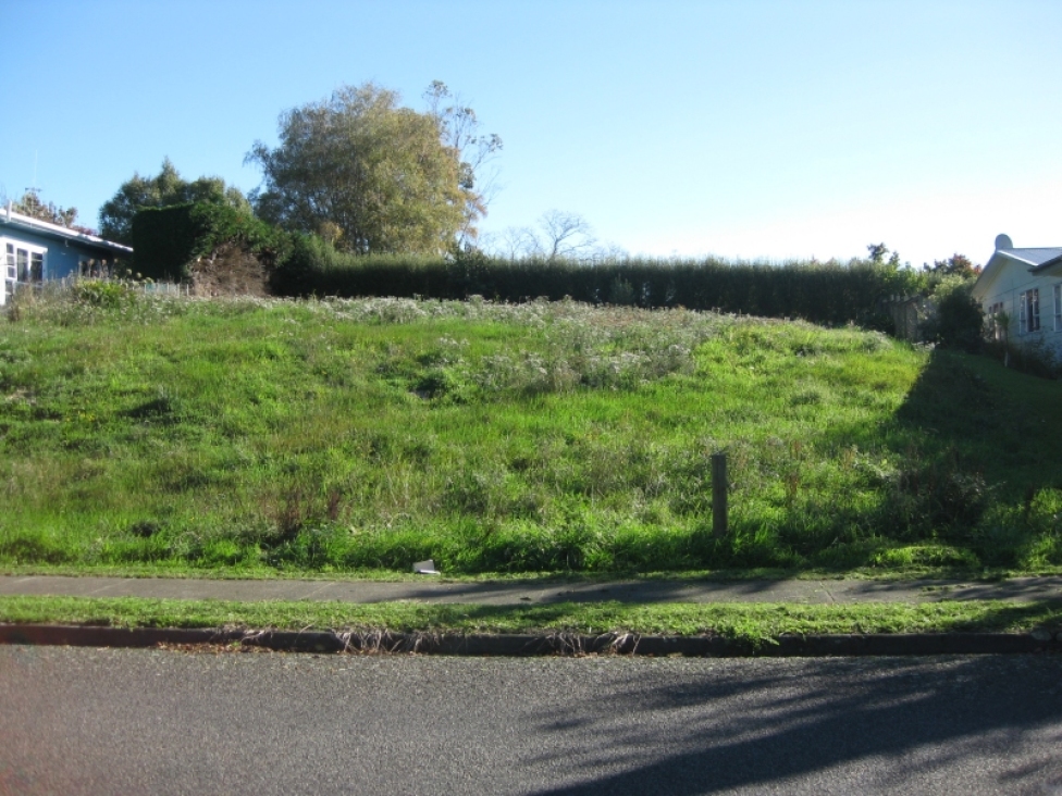 99-guy-street-dannevirke