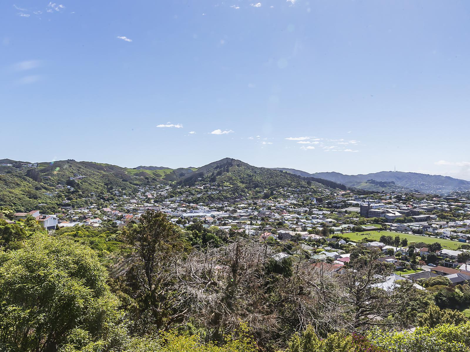 8 Shotter Street, Karori