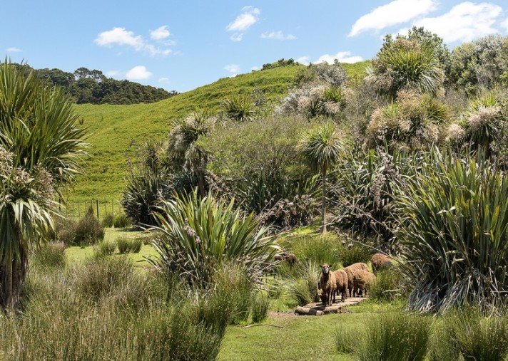 42 and 34 Cemetery Road, Pollok