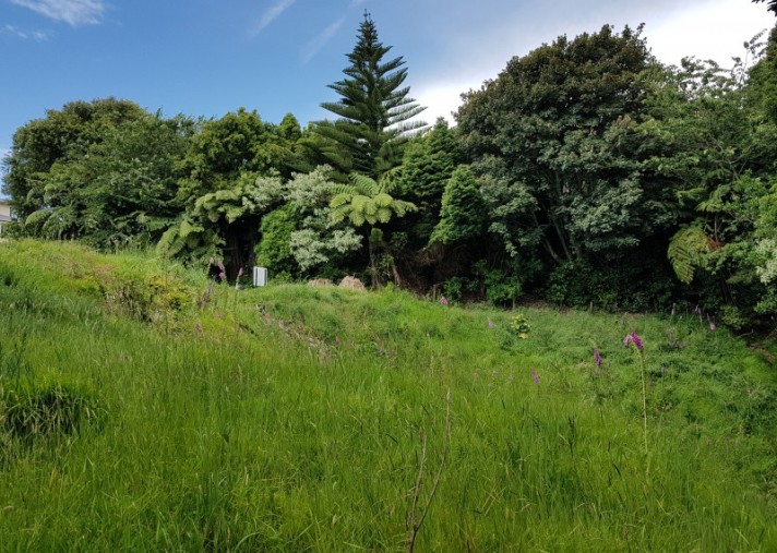 9b Larsen Place, Merrilands