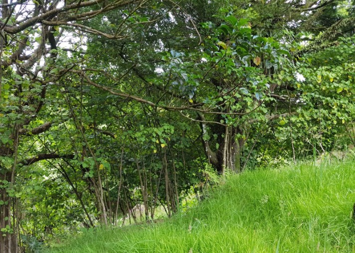 9b Larsen Place, Merrilands