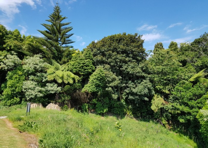 9b Larsen Place, Merrilands