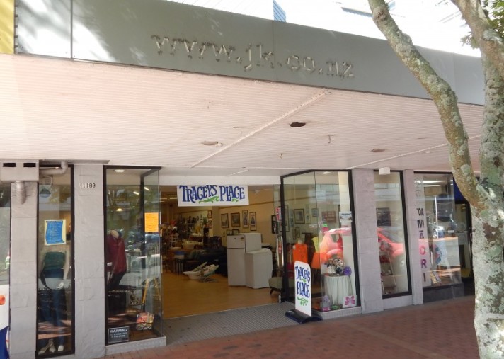 1180 Hinemoa Street, Rotorua Central