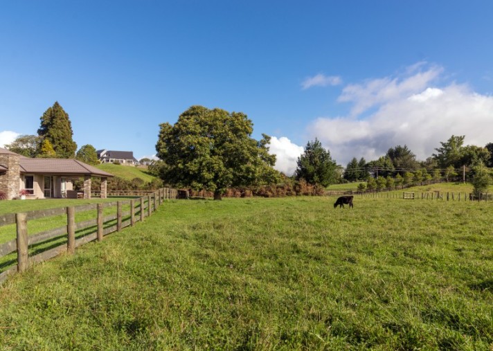 7 Ascot Vale, Tikitere