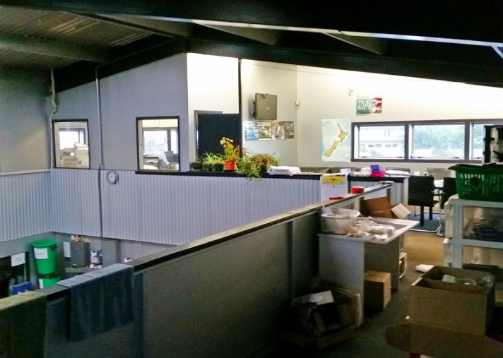 775 Tremaine Ave, Roslyn