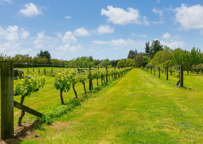 129 Richmond Road, Brixton